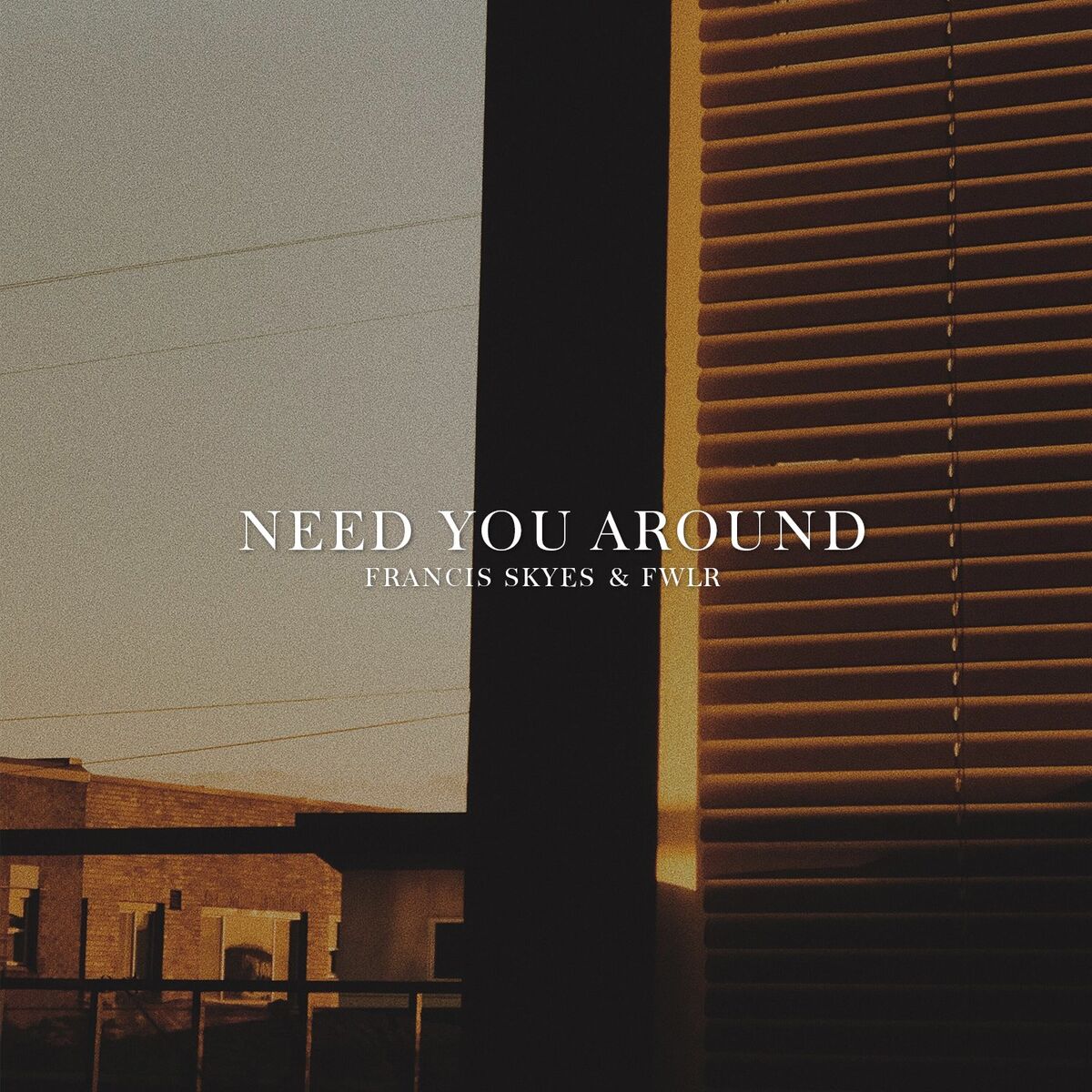 Album cover of Need You Around