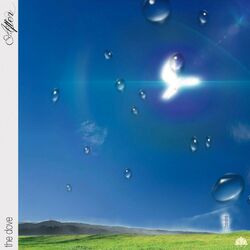 Cover of The Dove