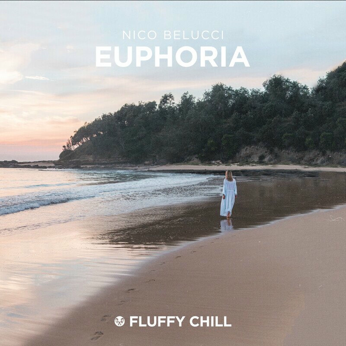 Album cover of Euphoria