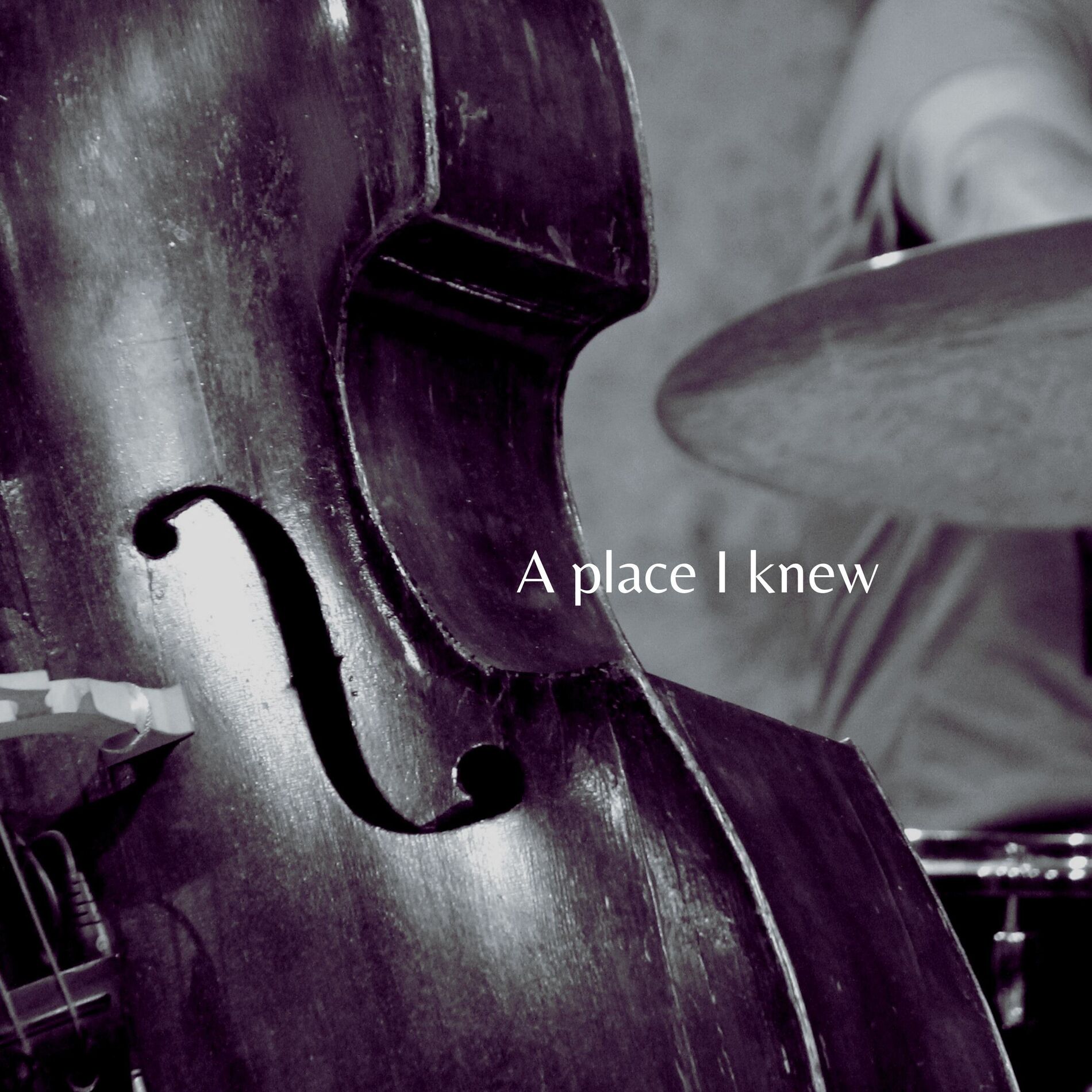 Album cover of A place I knew