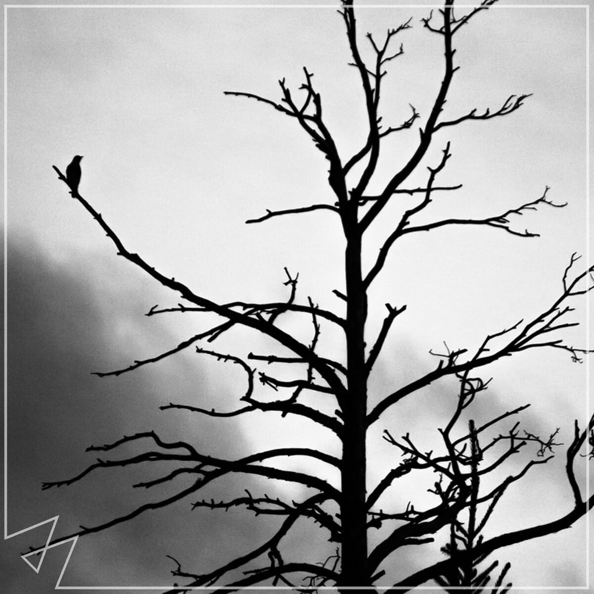 Album cover of Unholy