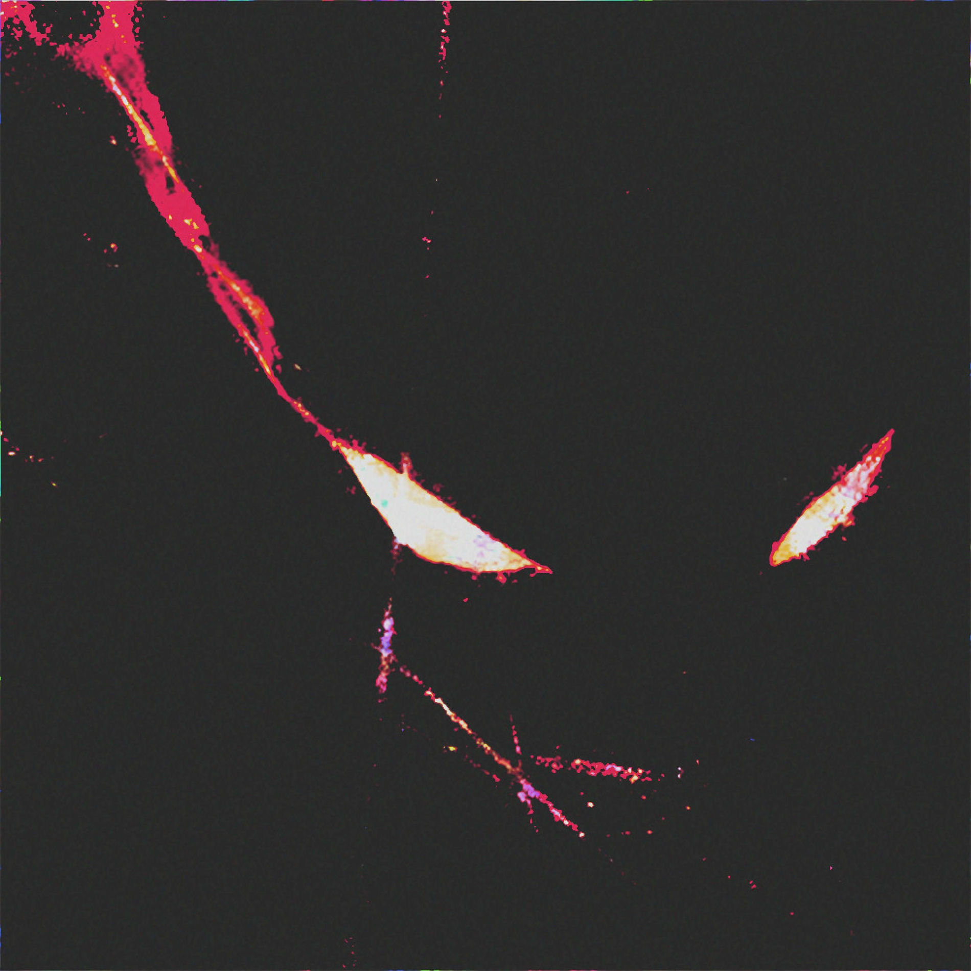 Album cover of HUSH! (feat. REMORSE)