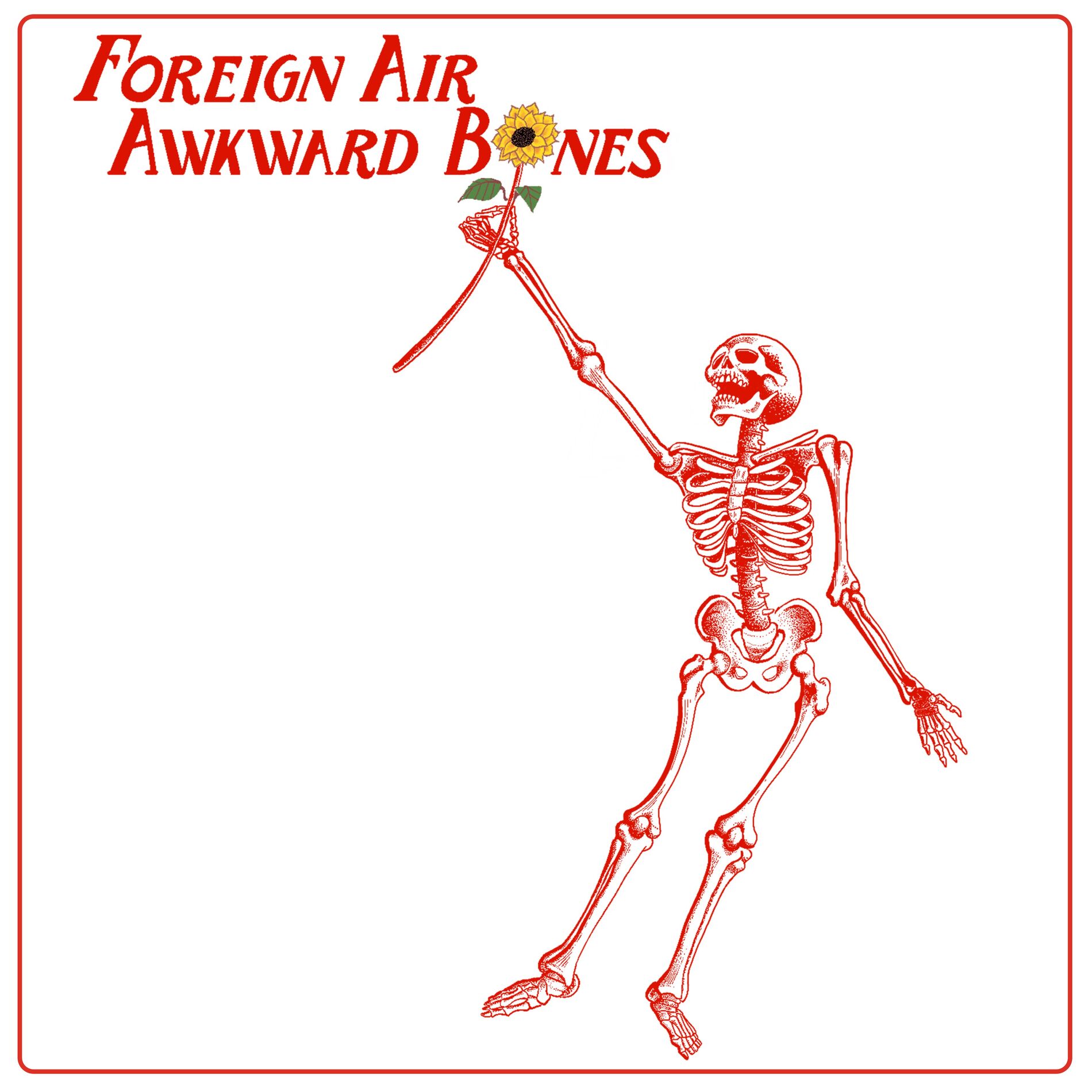 Album cover of Awkward Bones