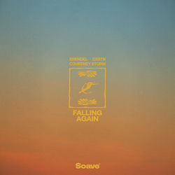 Falling Again (feat. Courtney Storm)