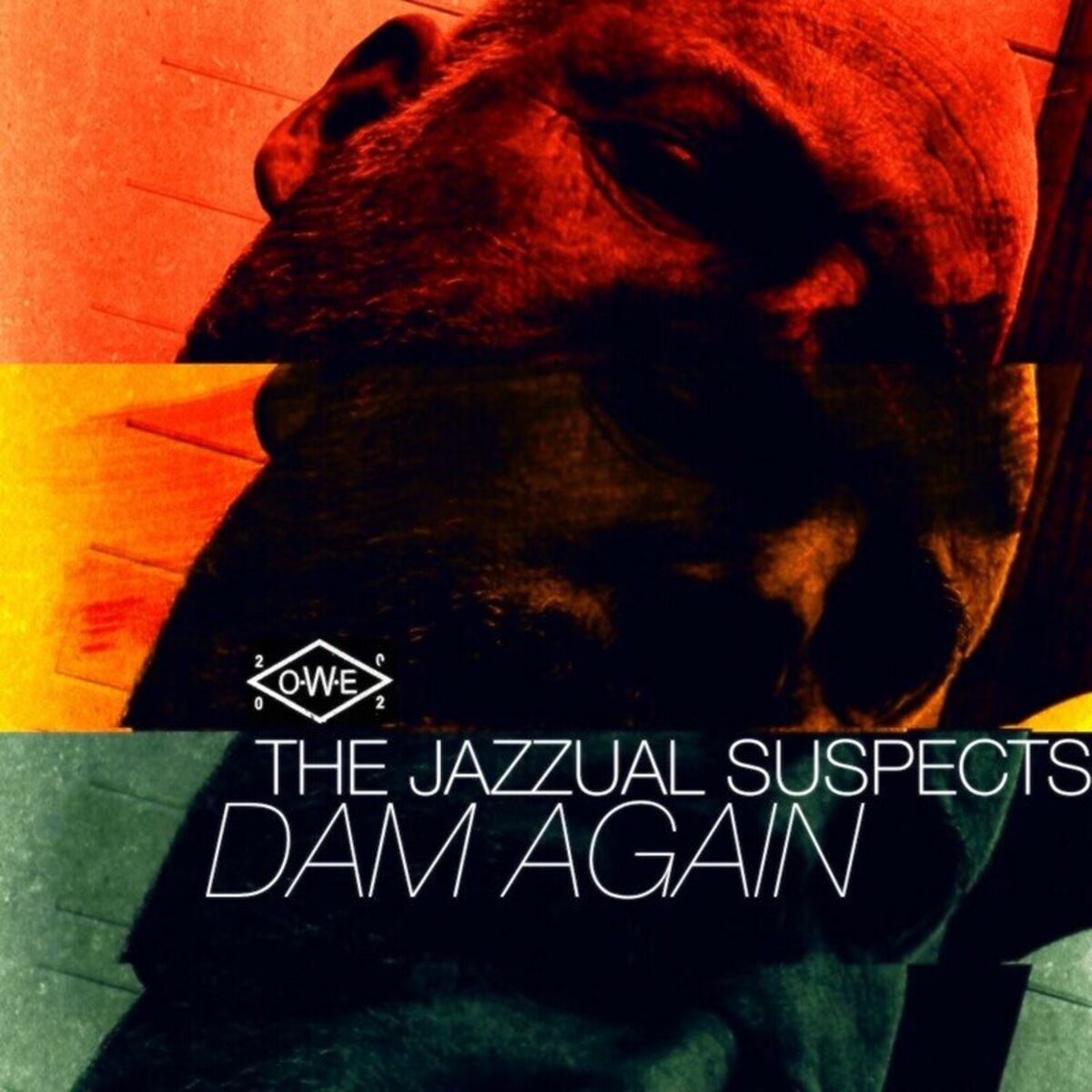 Album cover of Dam Again