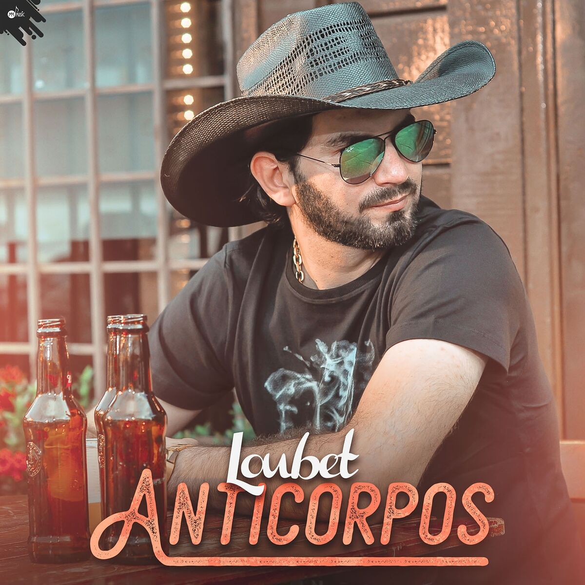 Album cover of Anticorpos