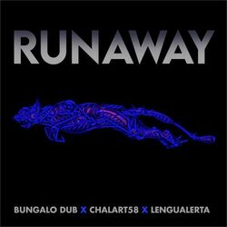 Cover of Runaway