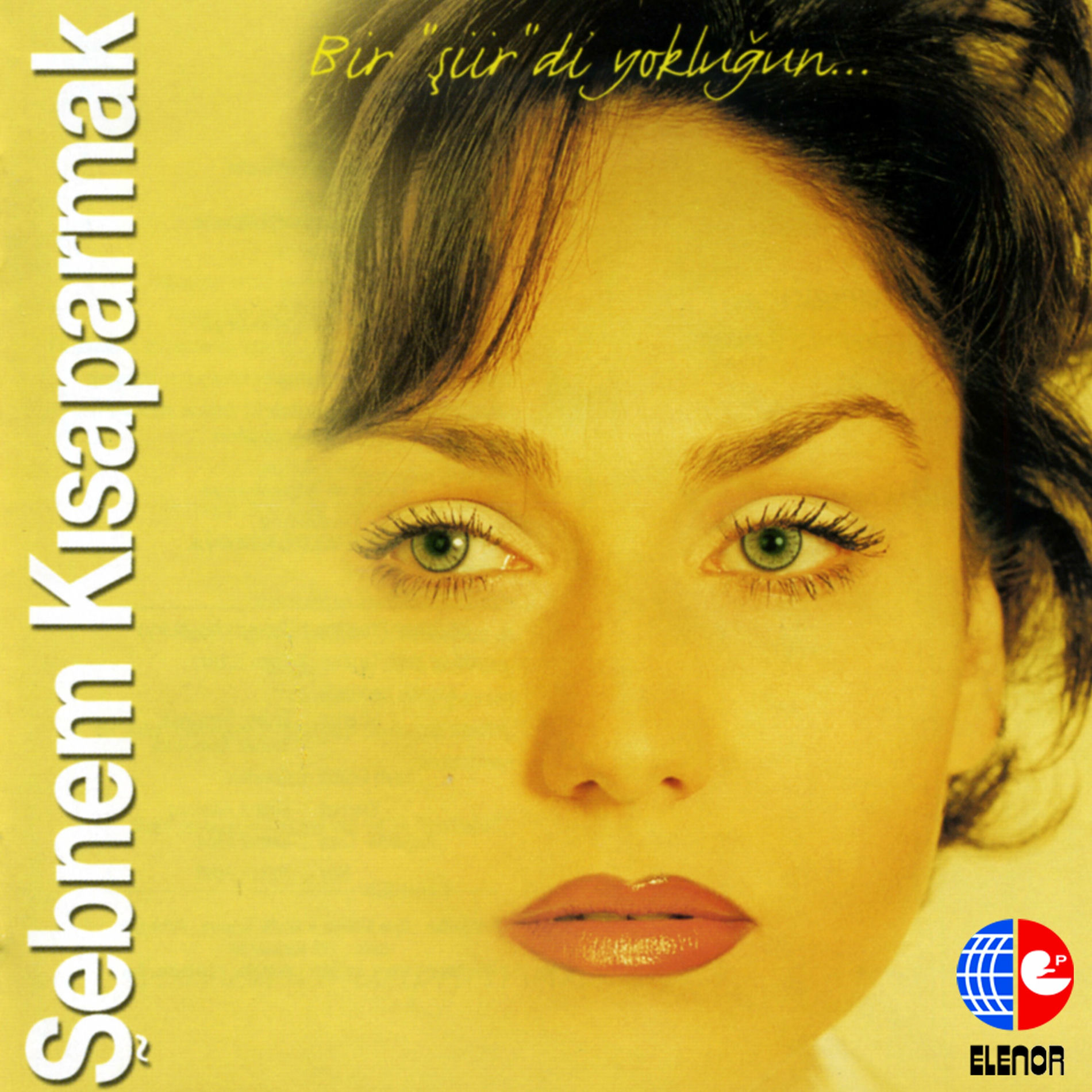 Album cover of Bir Şiirdi Yokluğun