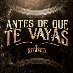 Cover of Antes De Que Te Vayas