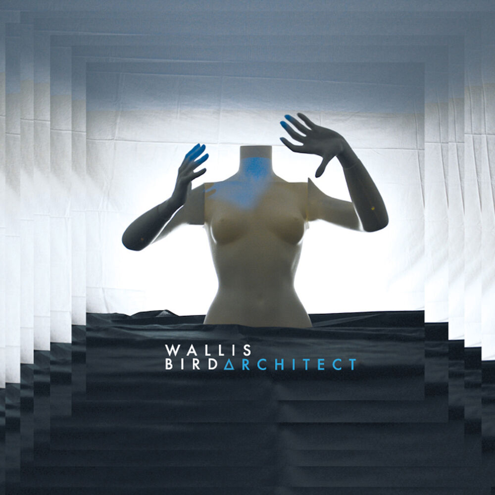 Picture of Architect