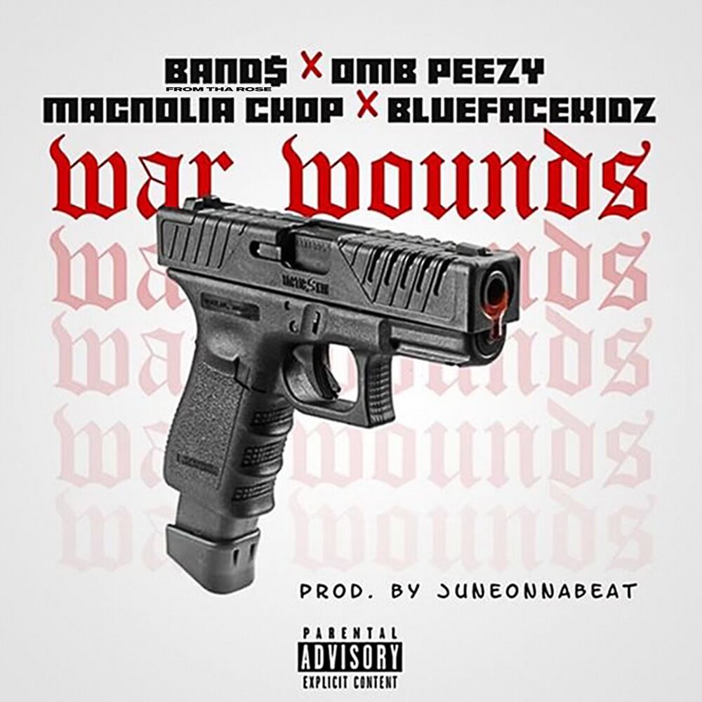 Picture of War Wounds (feat. OMB Peezy, Magnolia Chop & Bluefacekidz)