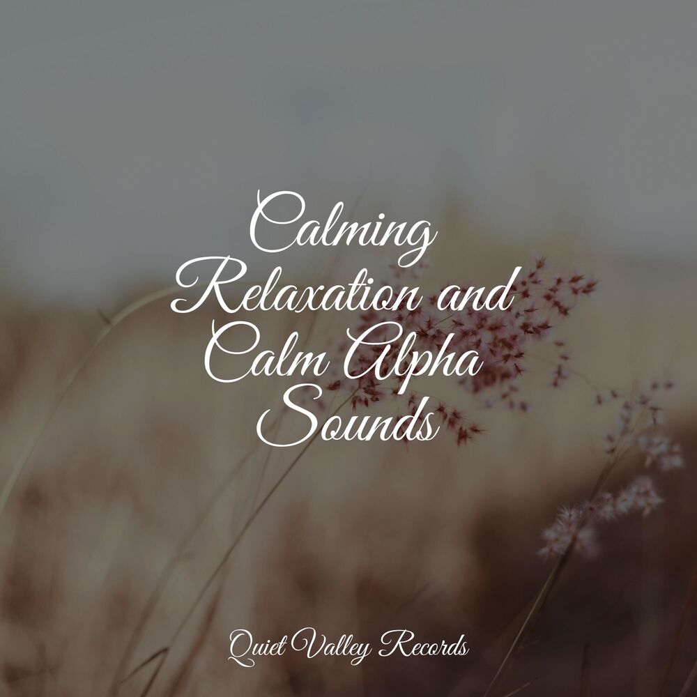 Picture of Calming Relaxation and Calm Alpha Sounds