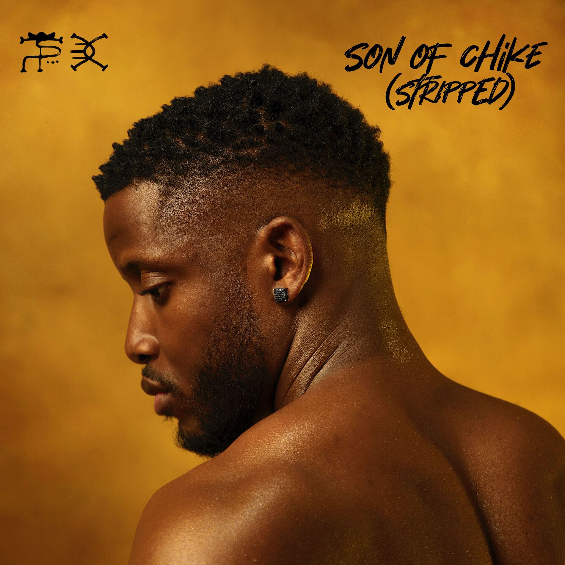 Album cover of Son of Chike (Stripped)