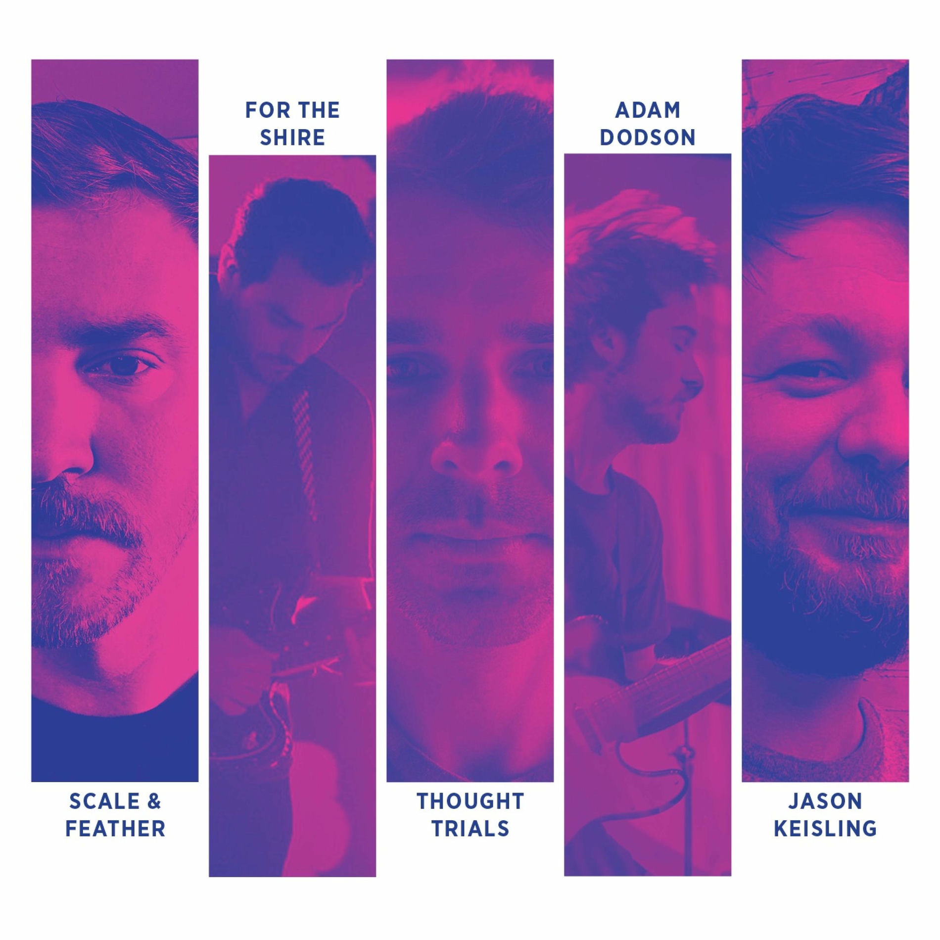 Album cover of Waning (feat. Scale & Feather, For the Shire, Thought Trials, Adam Dodson & Jason Keisling)