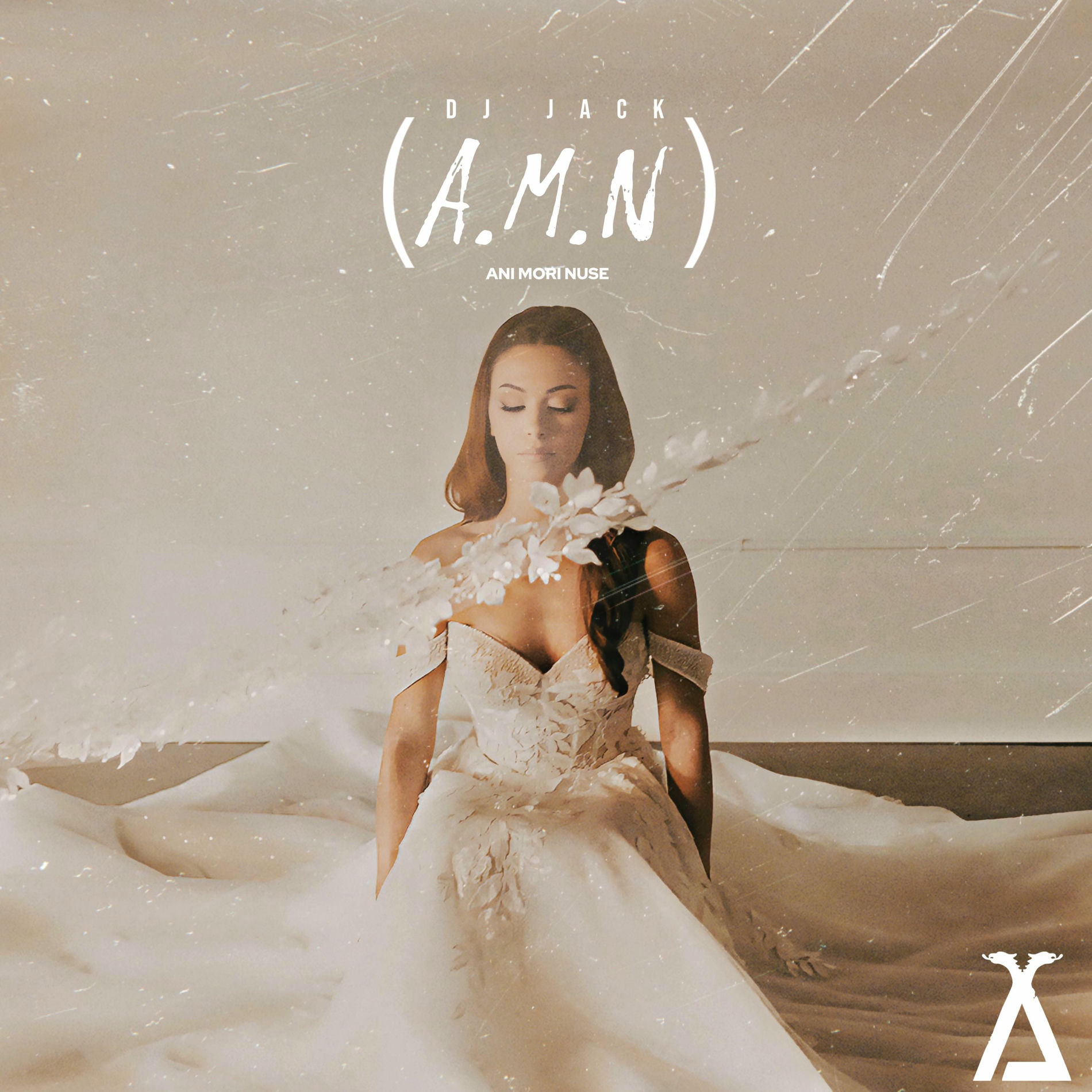 Album cover of A.M.N