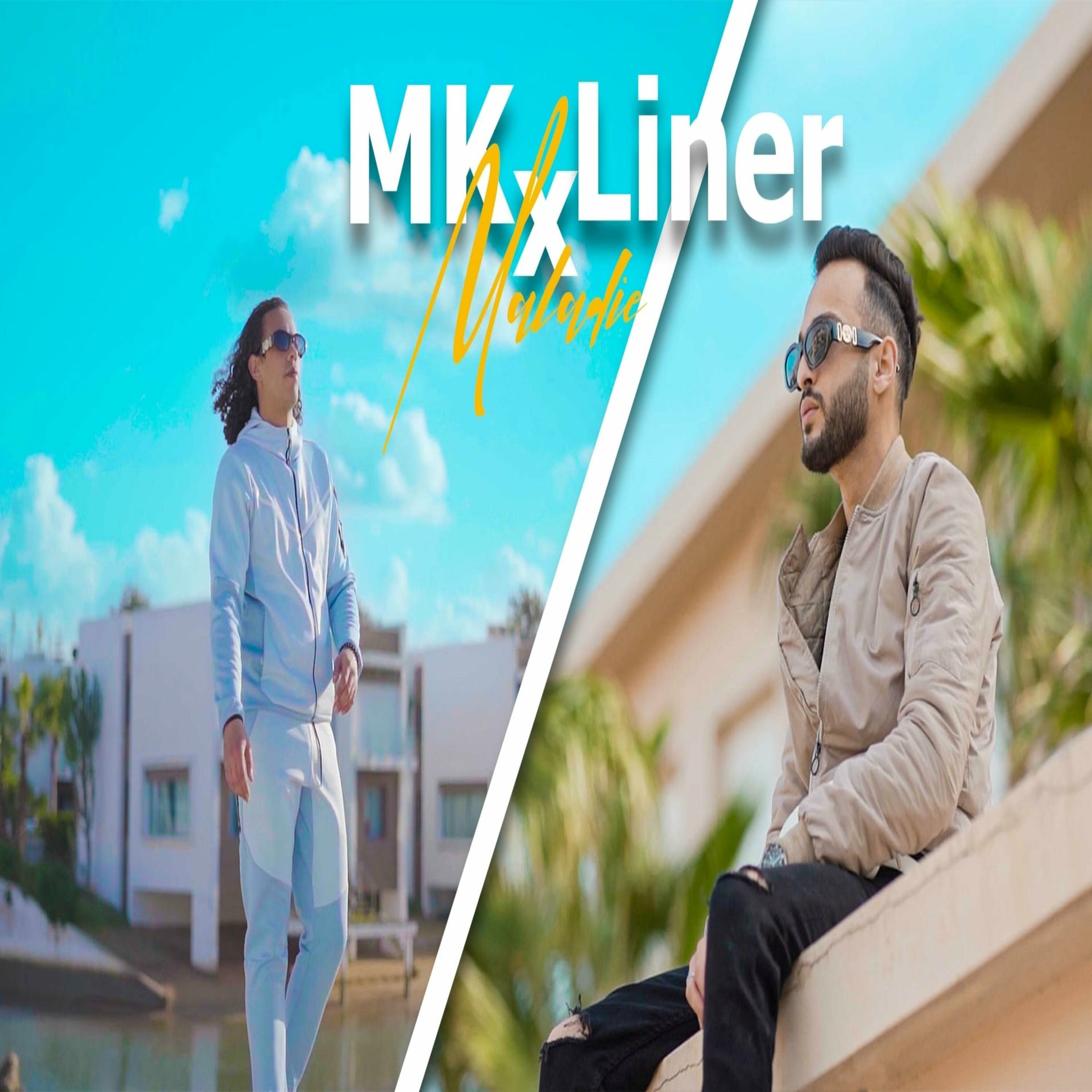 Album cover of Maladie (feat. LNR) [Prod by Ramoon]