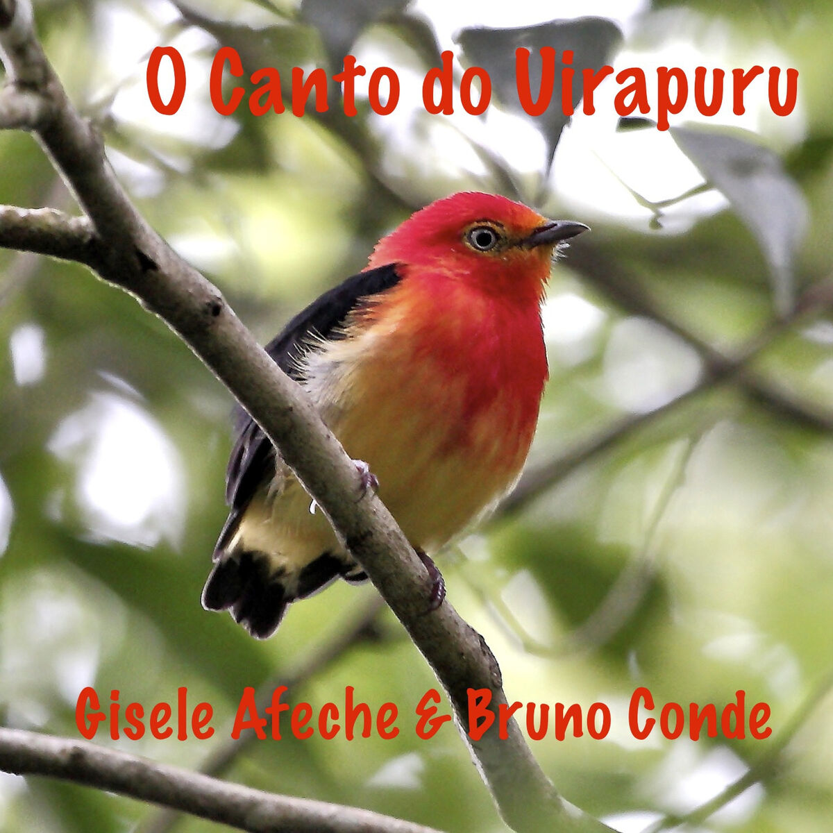 Album cover of O Canto do Uirapuru - Single