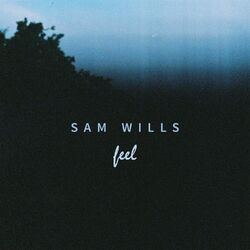 Cover of Feel