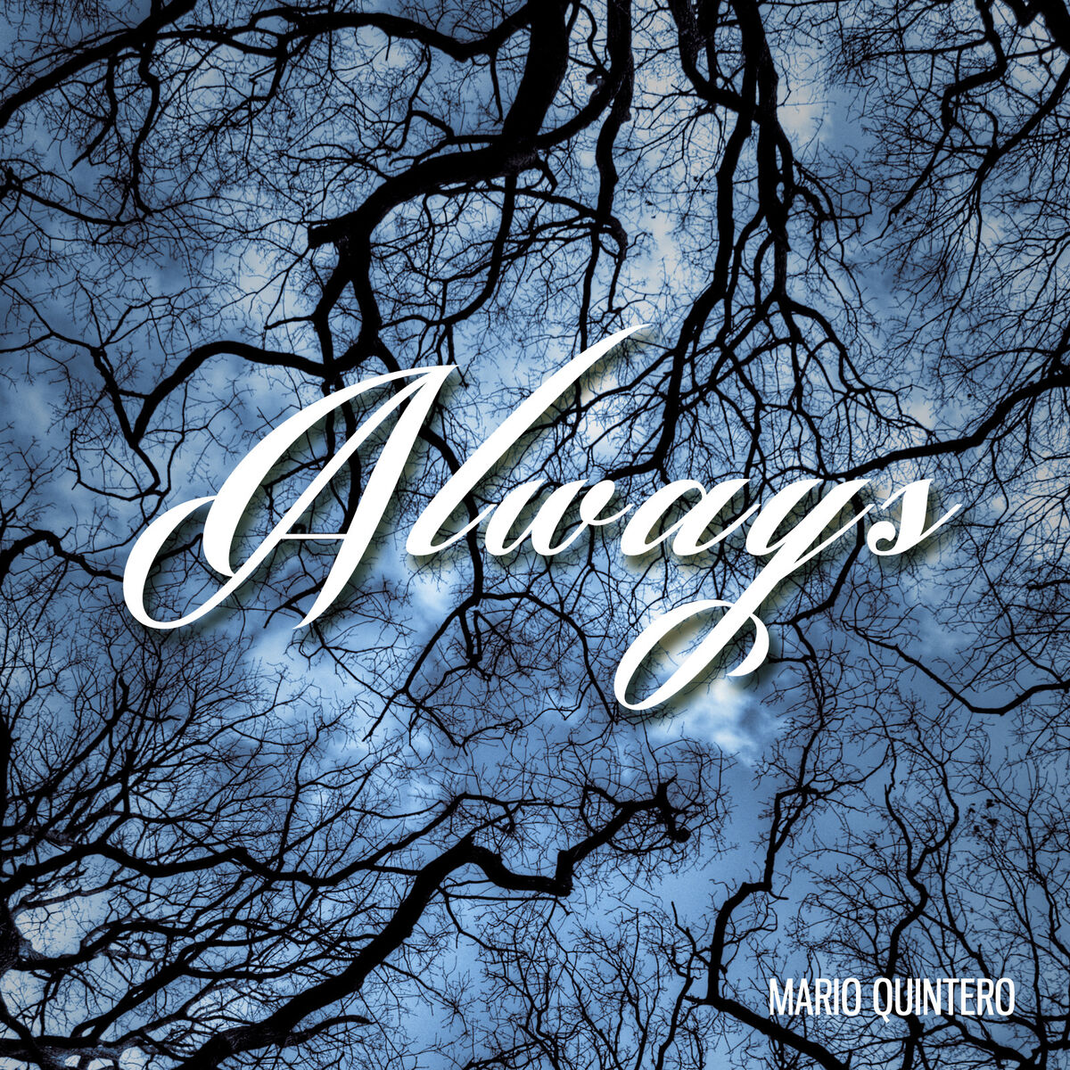 Album cover of Reflections