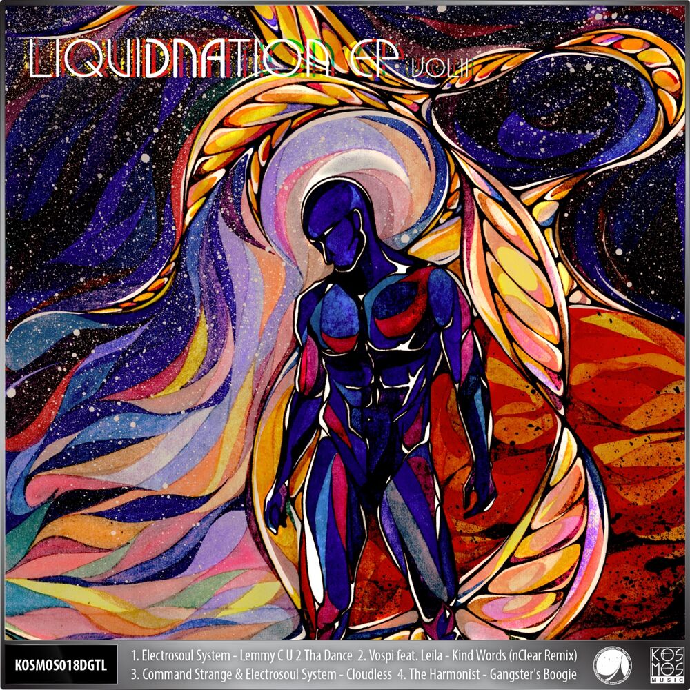 Picture of V/A LiquiDNAtion EP Vol.2