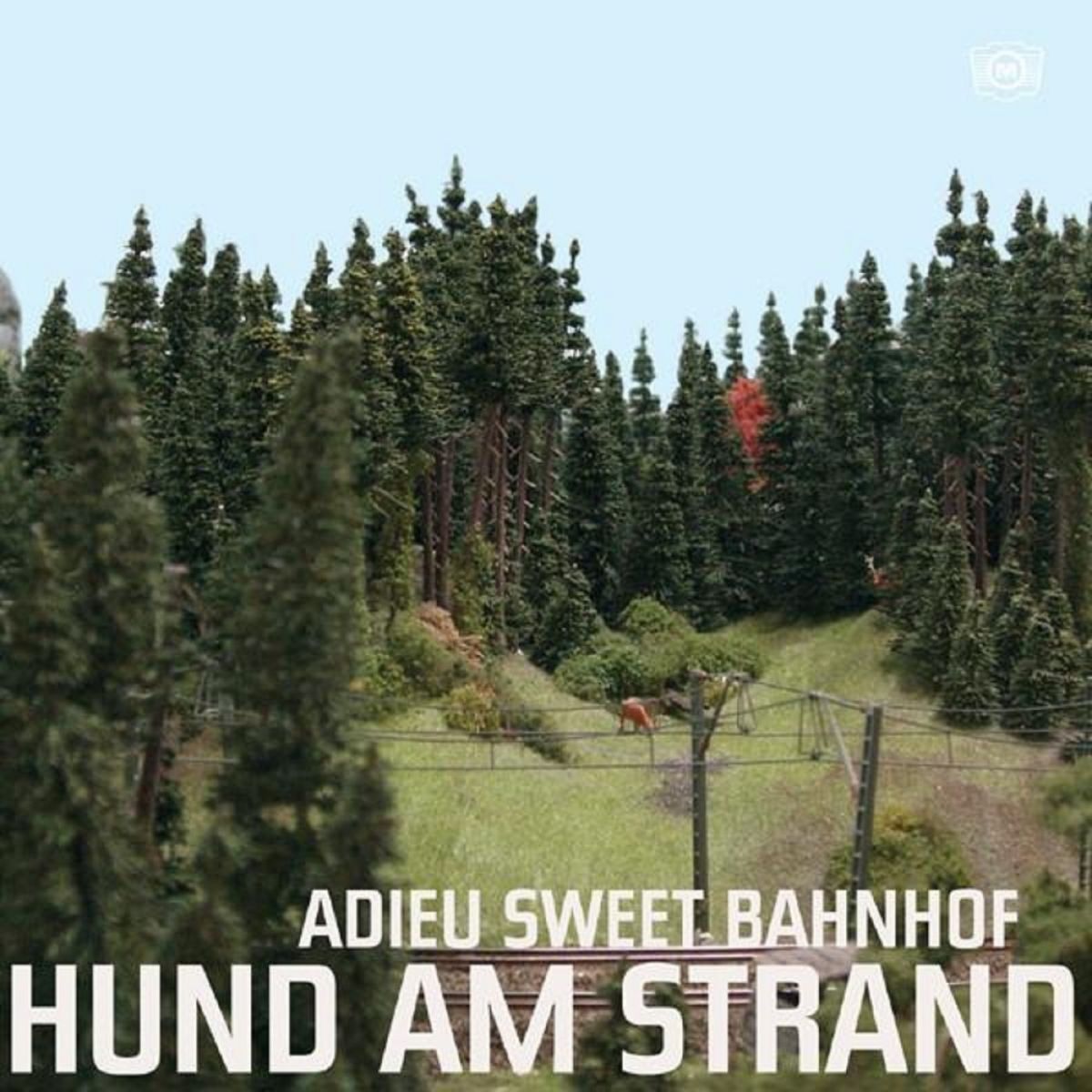 Album cover of Jungen Mädchen