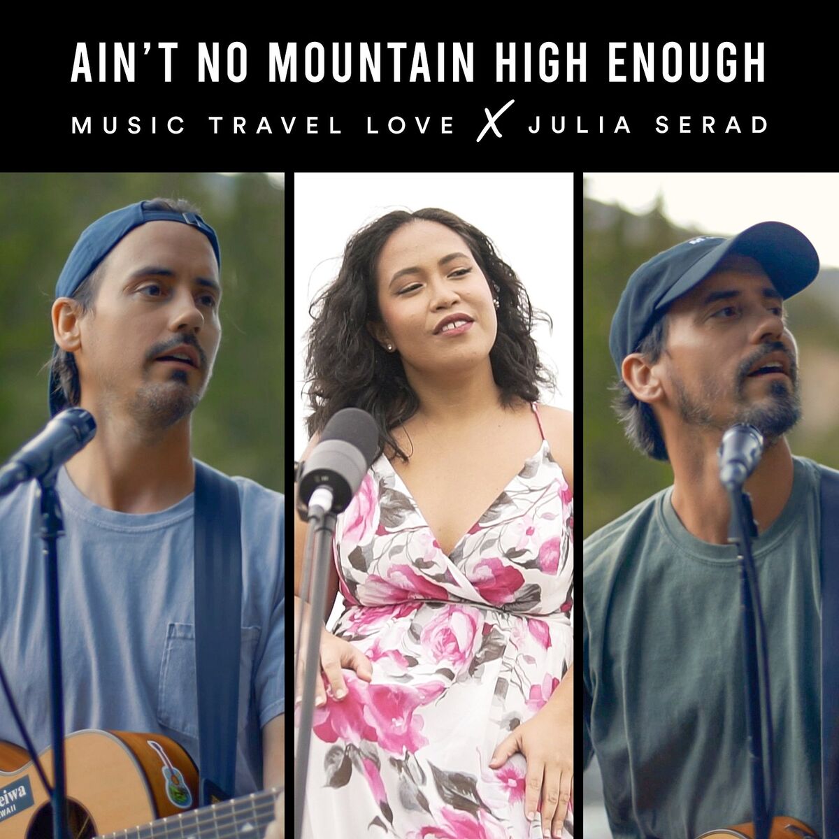 Album cover of Ain't No Mountain High Enough