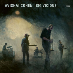 Cover of Big Vicious