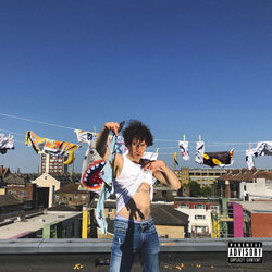 Cover of King Kong