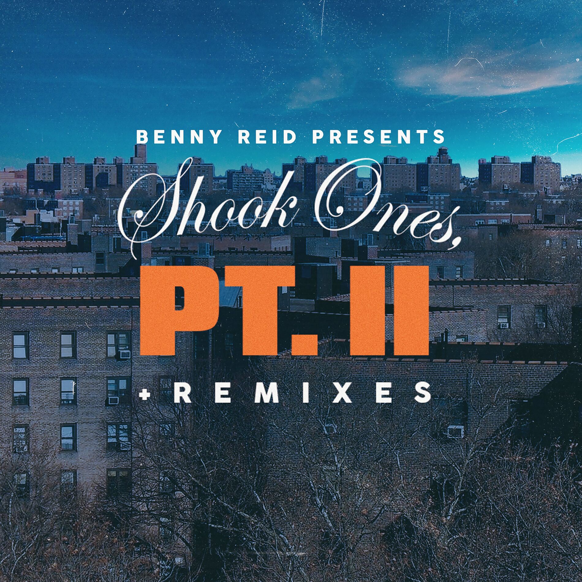 Album cover of Shook Ones, Pt. II