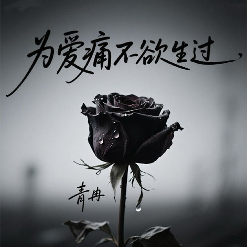 为爱痛不欲生过 (Dj浩然版)