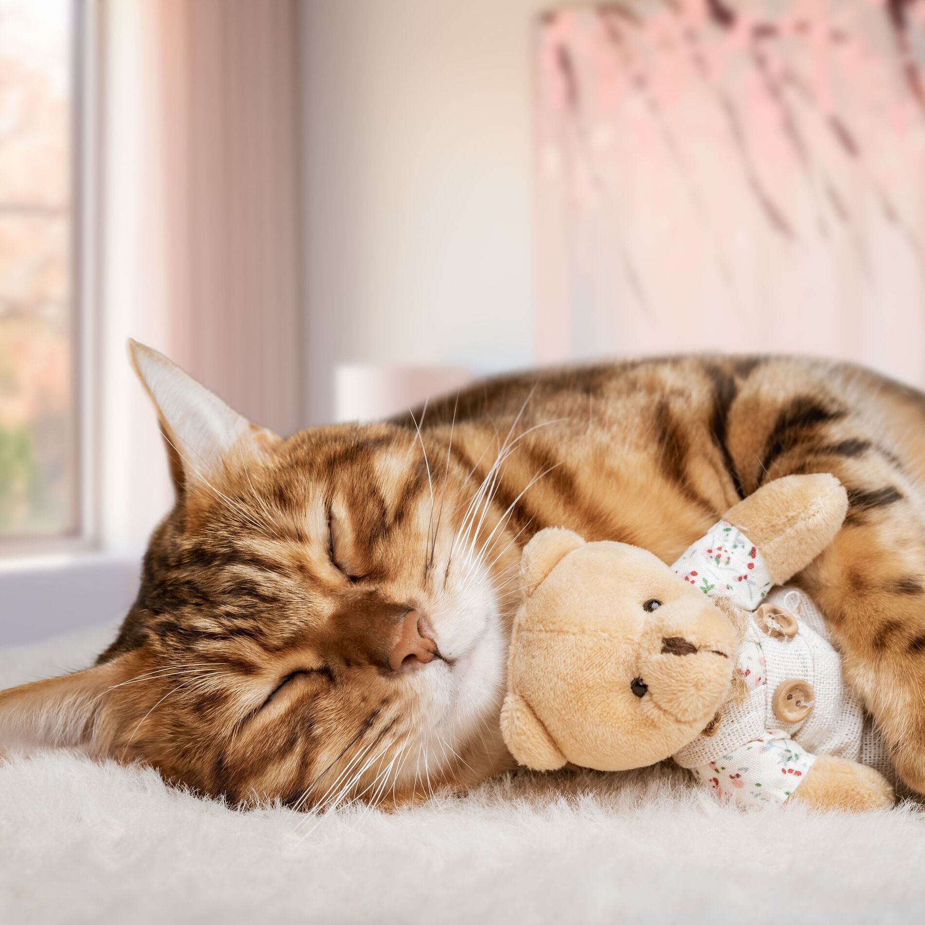 Album cover of Purring Lofi Moments: Ambient Sound for Cozy Catnap Serenade