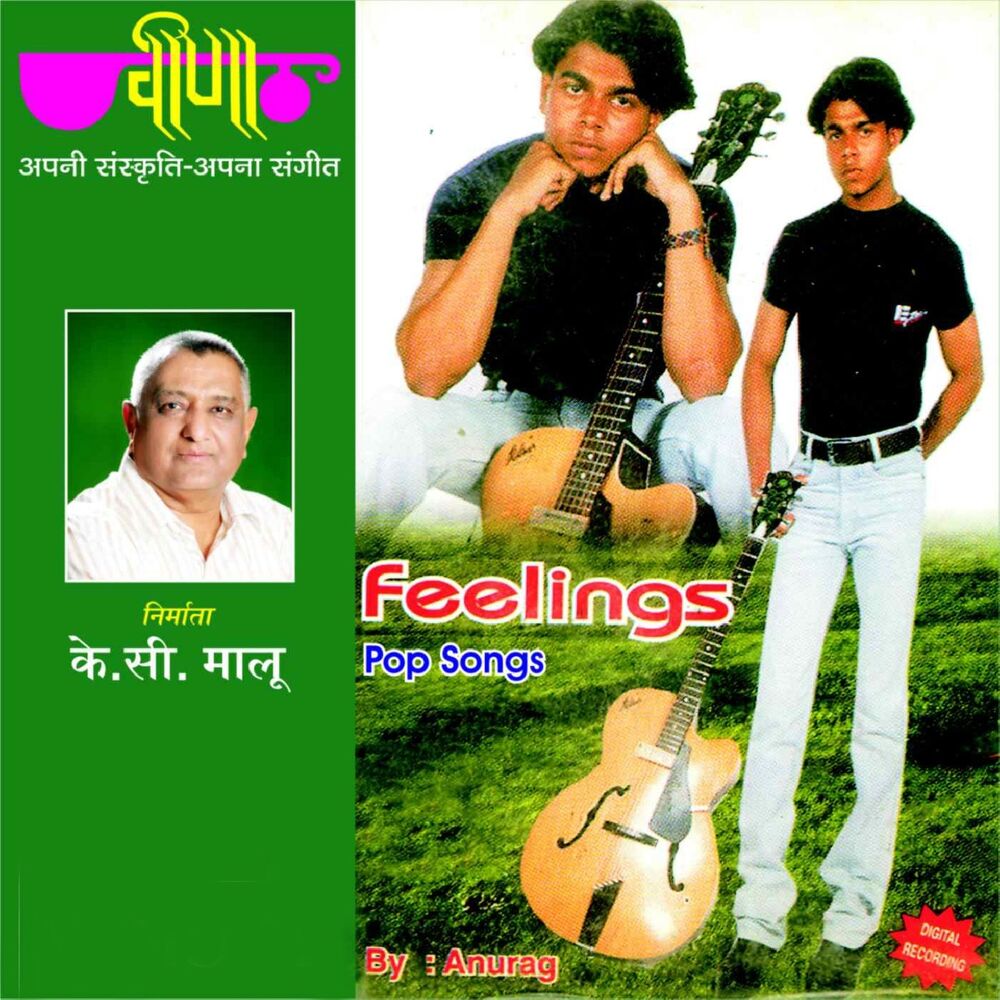 Picture of Feelings - Hindi Pop