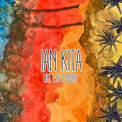 Cover of Like on a swing