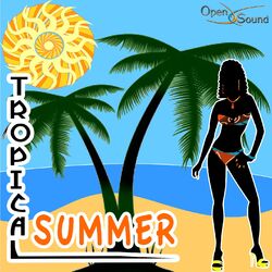 Cover of Tropical Summer