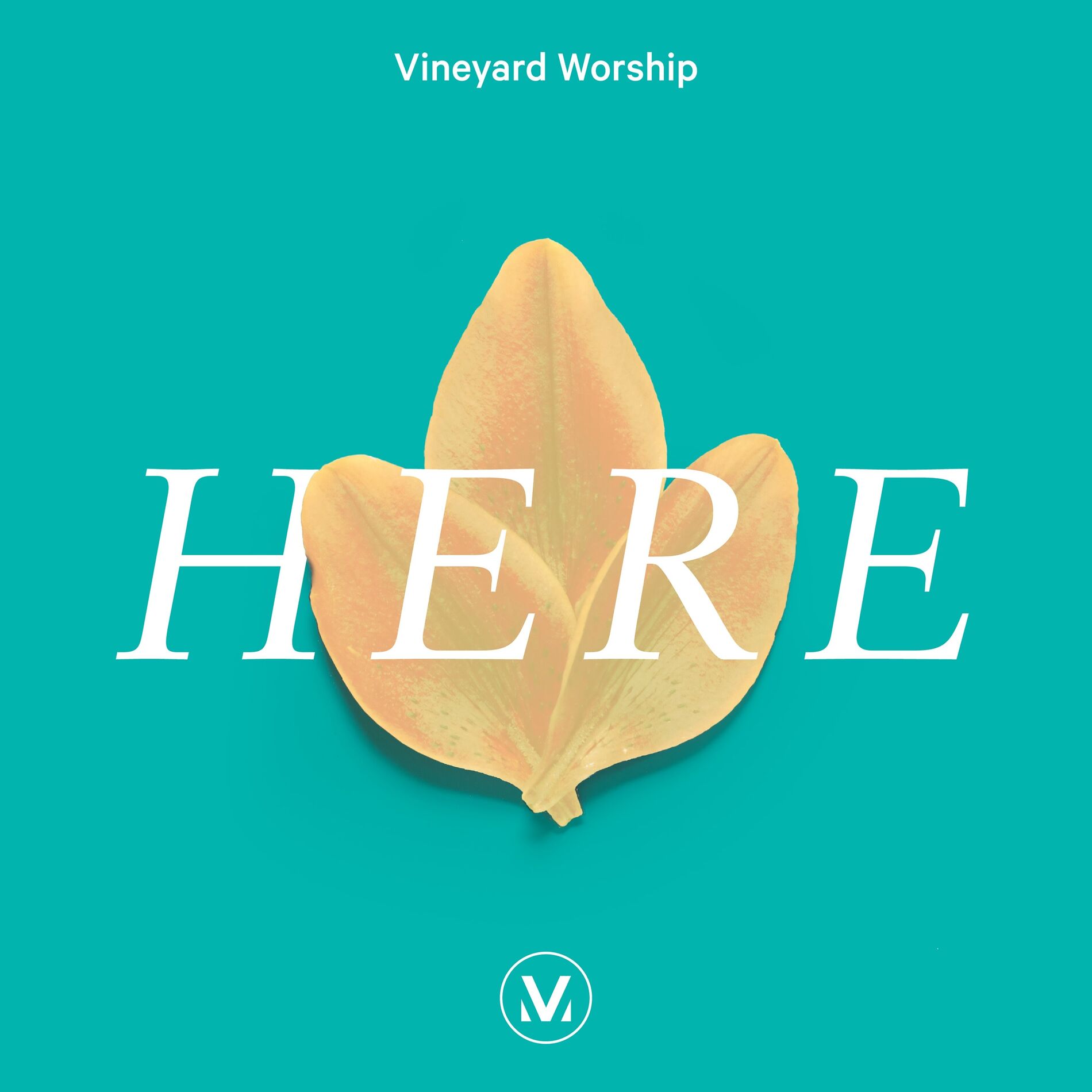 Album cover of Here