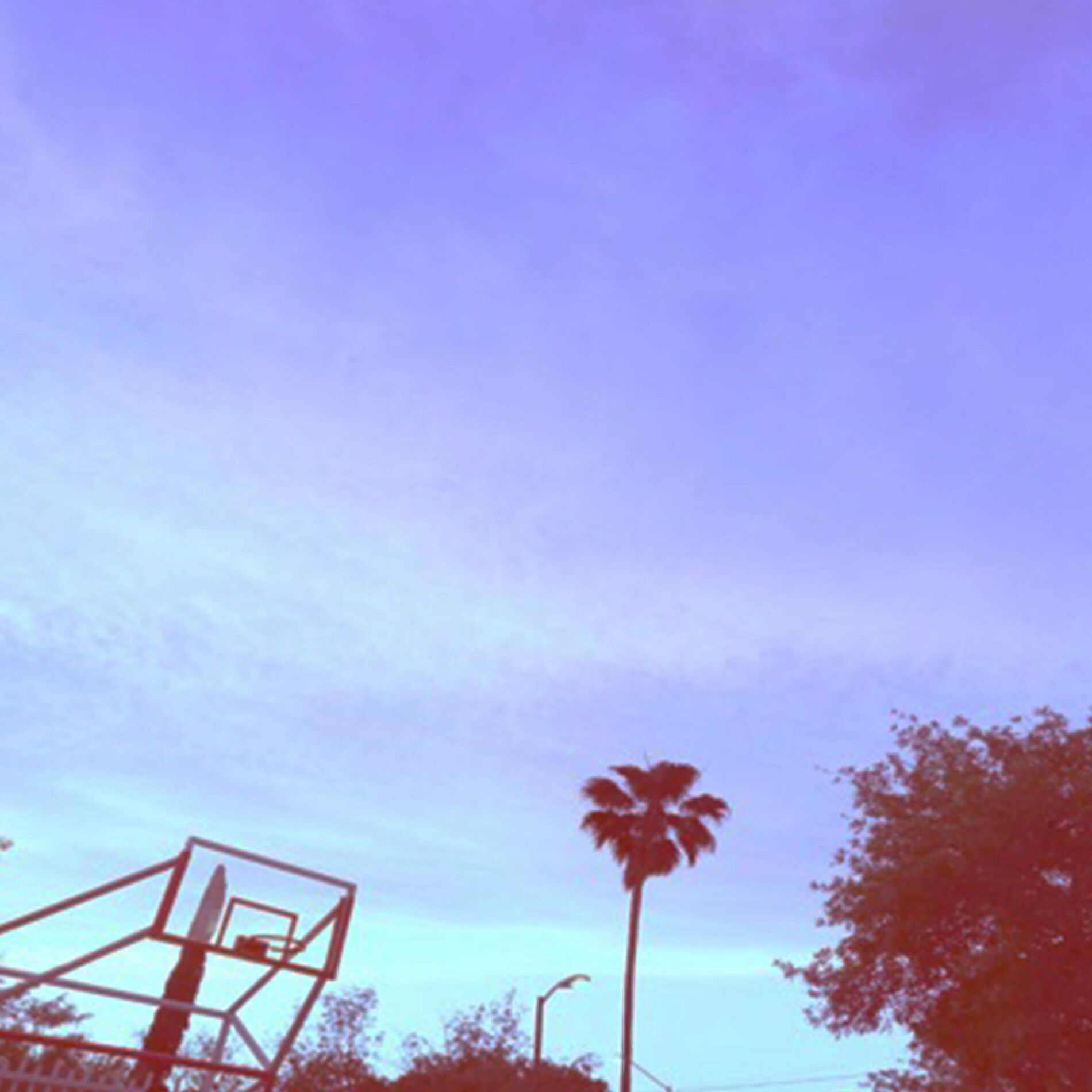 Album cover of forgotten