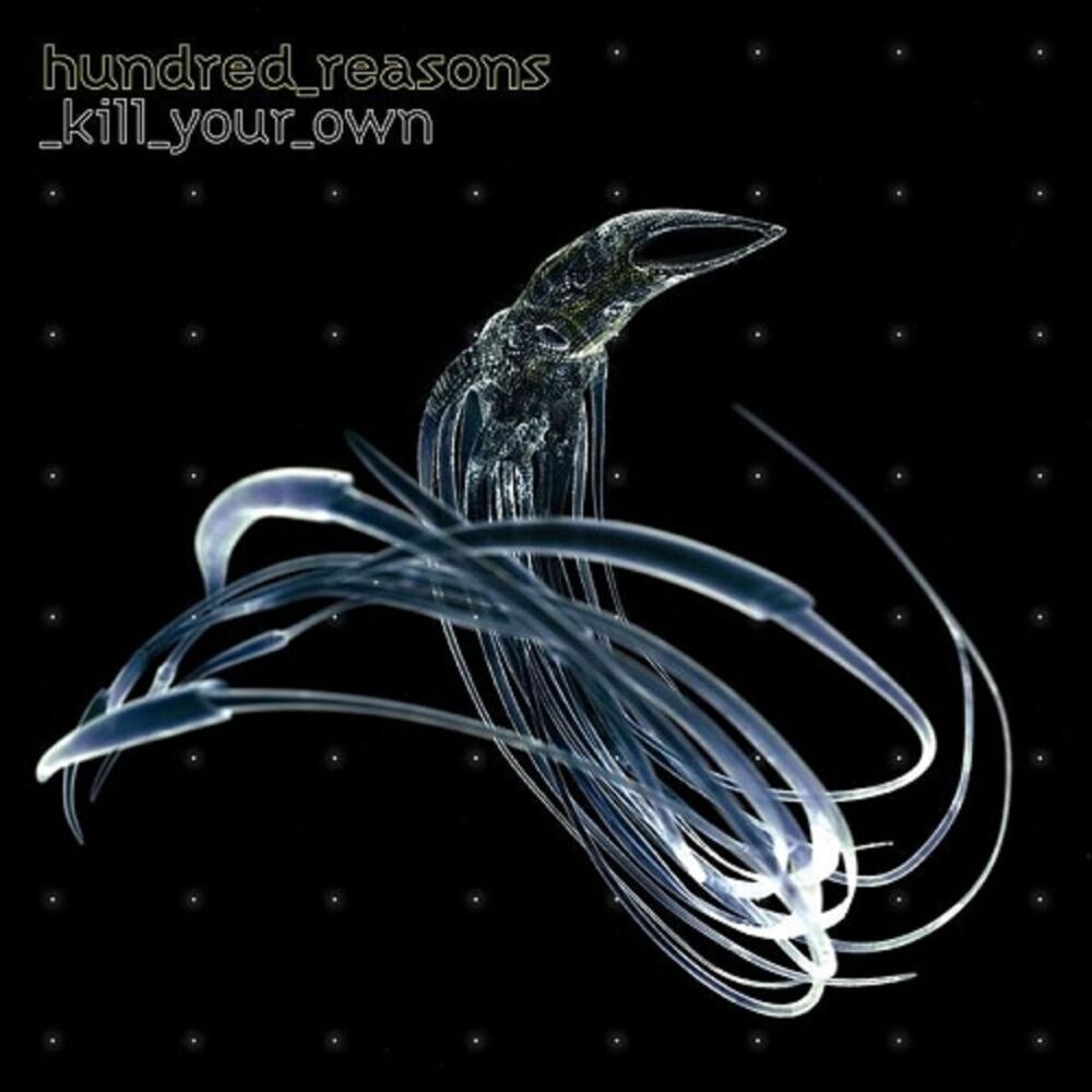 Picture of Kill Your Own