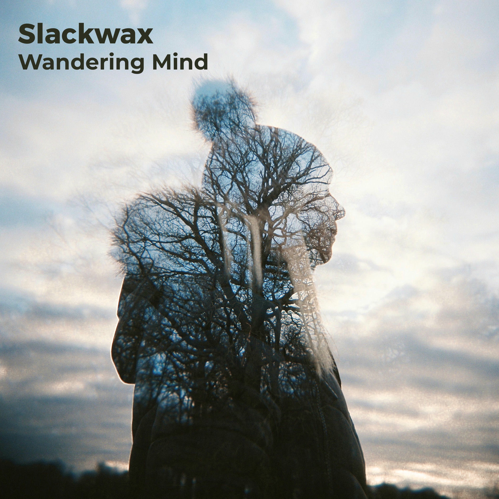 Album cover of Wandering Mind