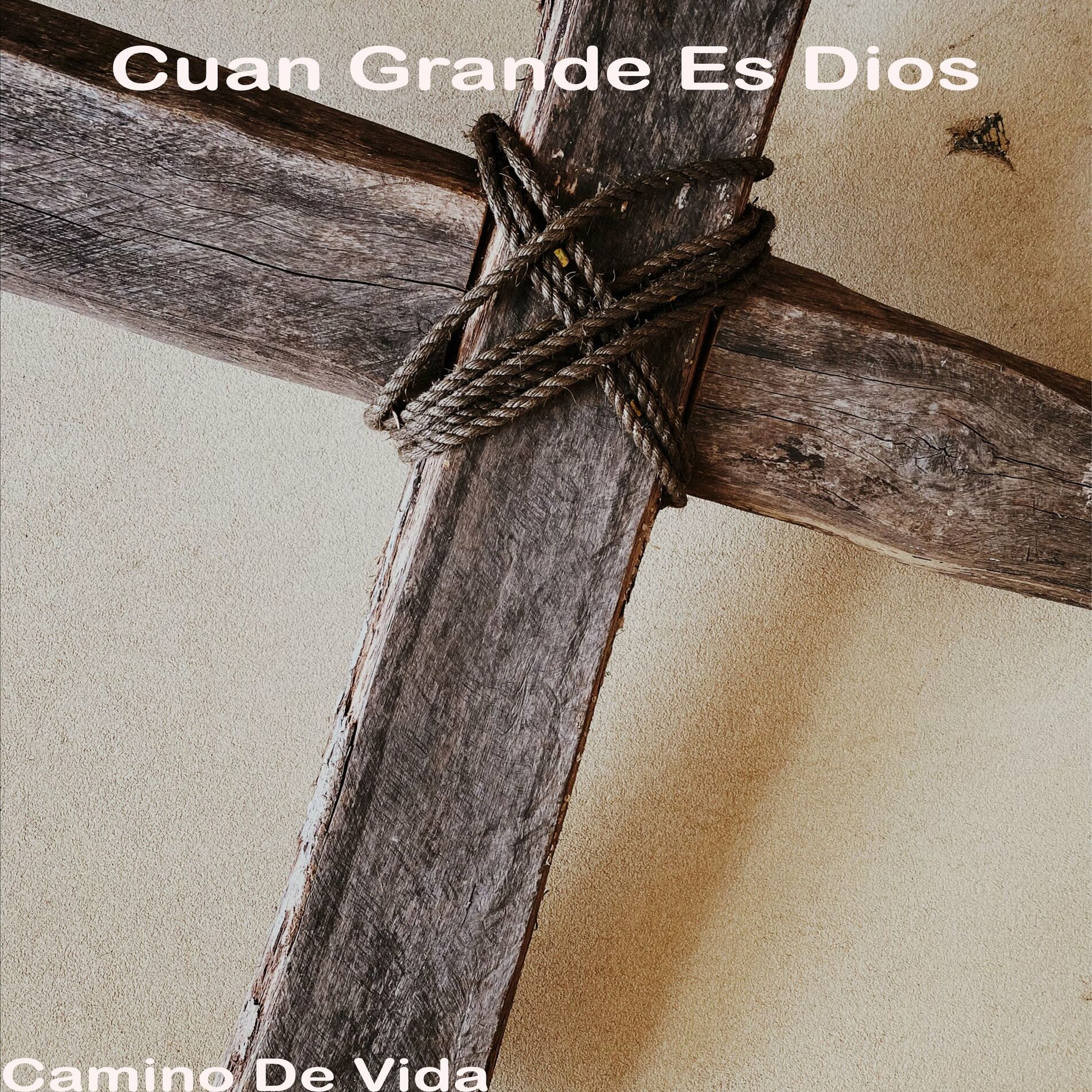 Album cover of Cuan Grande Es Dios