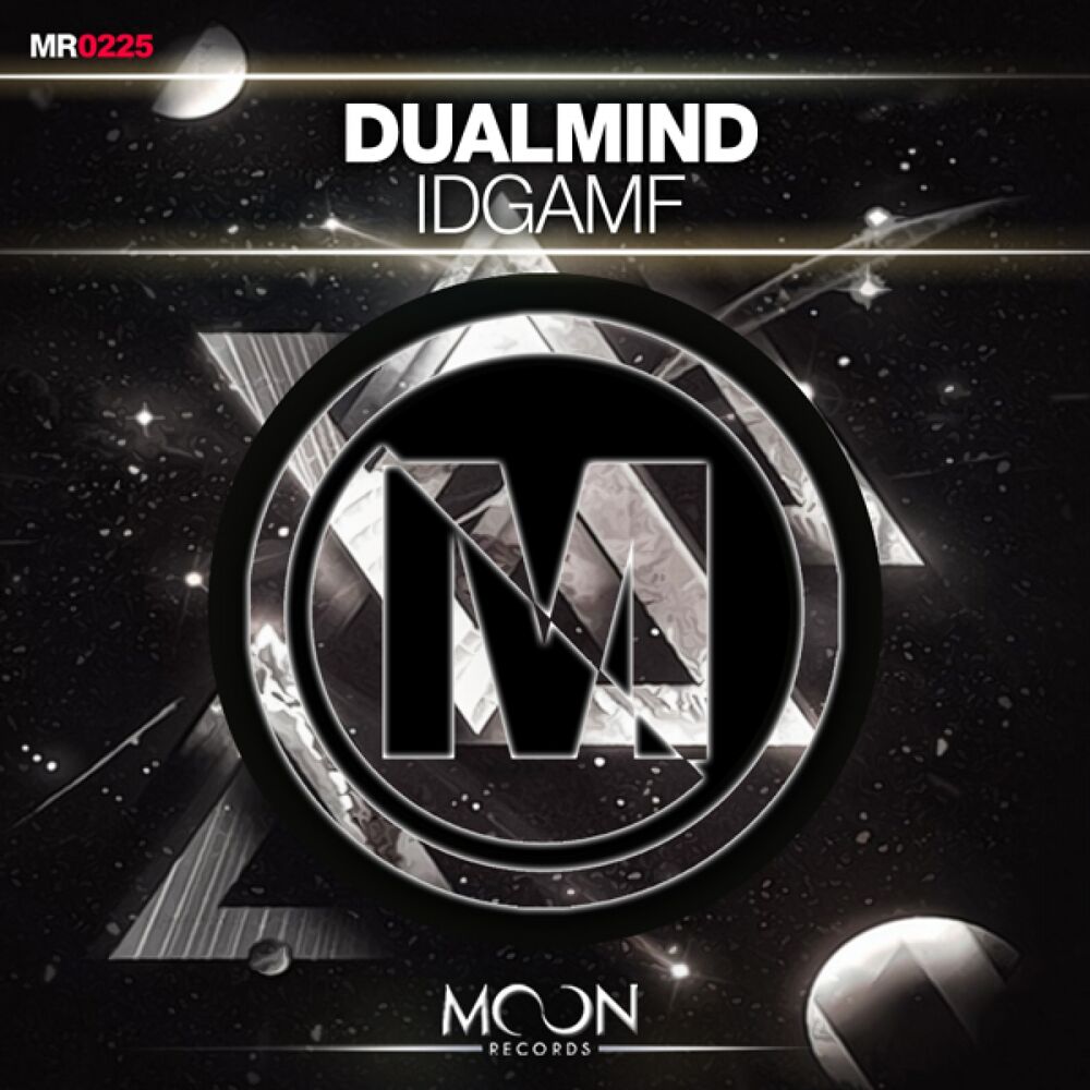 Picture of IDGAMF