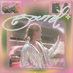 Cover of Bound