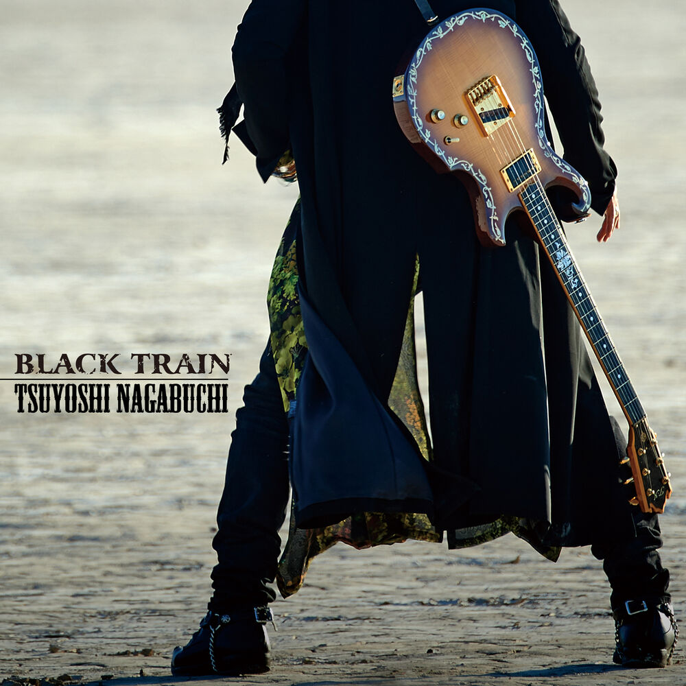 Picture of Black Train