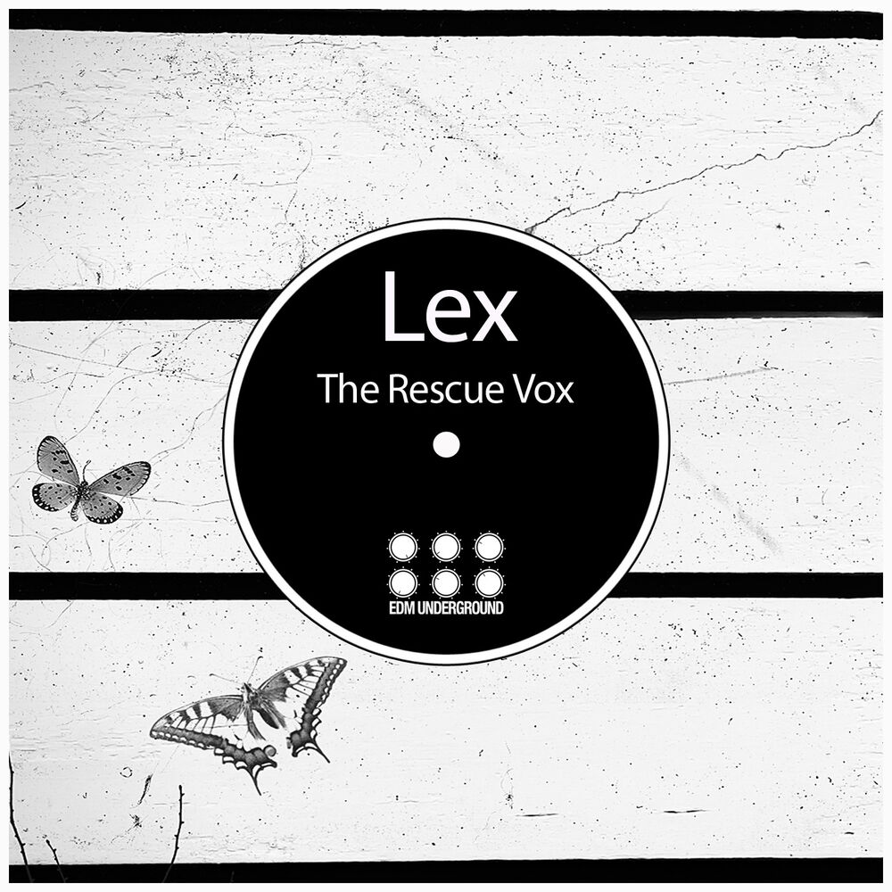Picture of The Rescue Vox