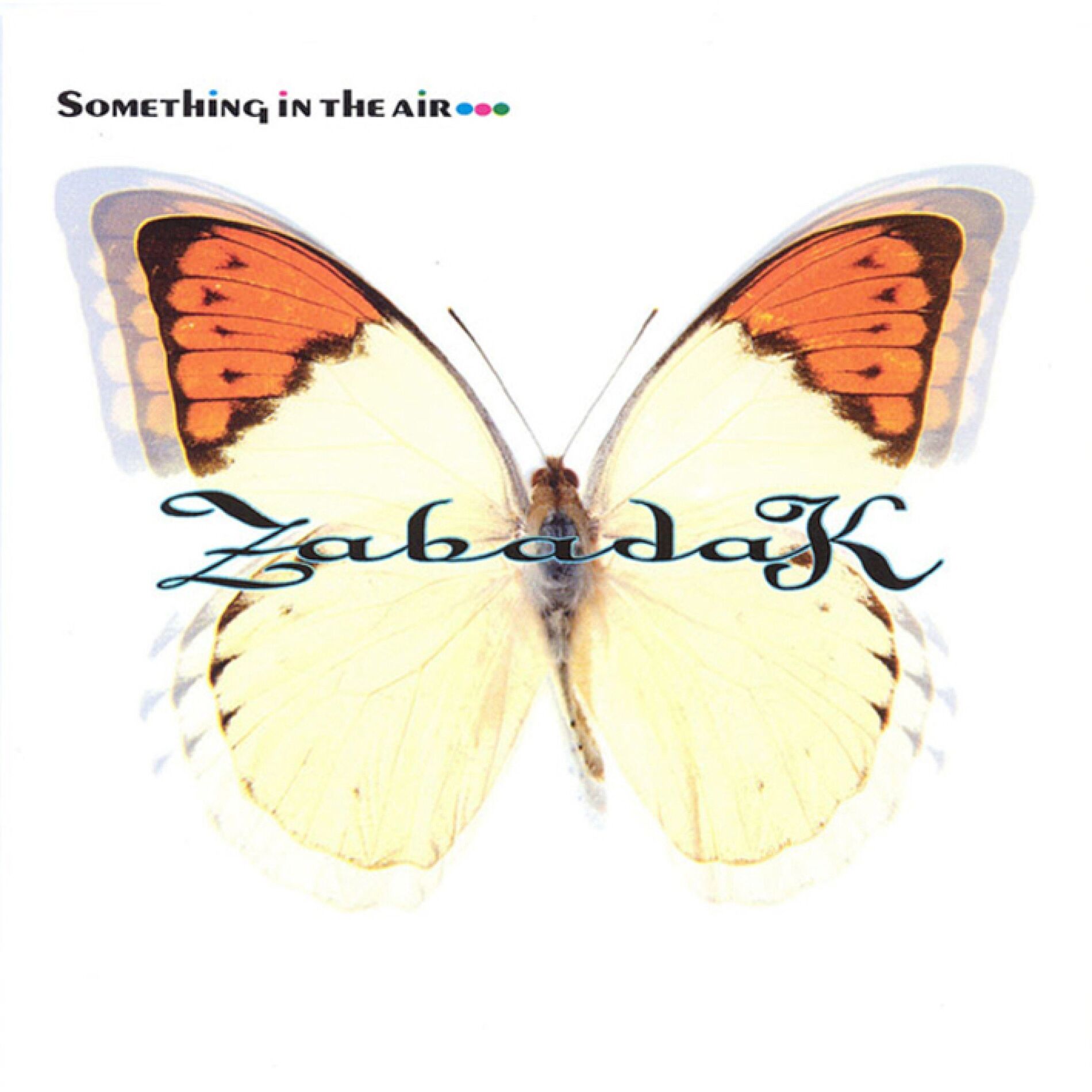 Album cover of Something in the Air