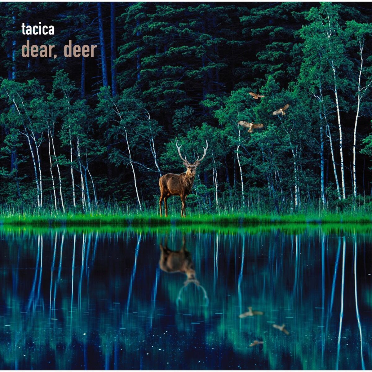 Album cover of BEST ALBUM dear, deer