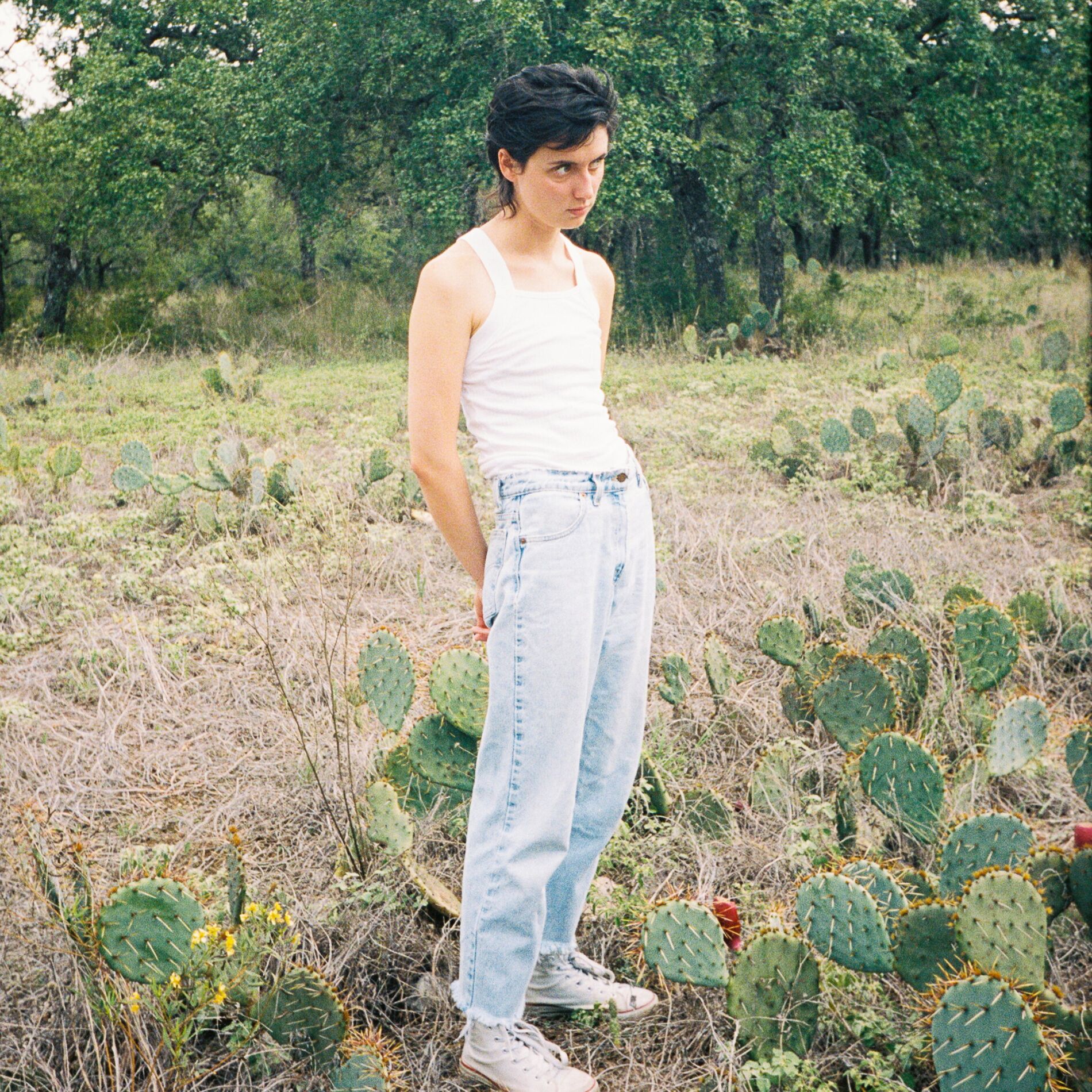 Album cover of Juniper