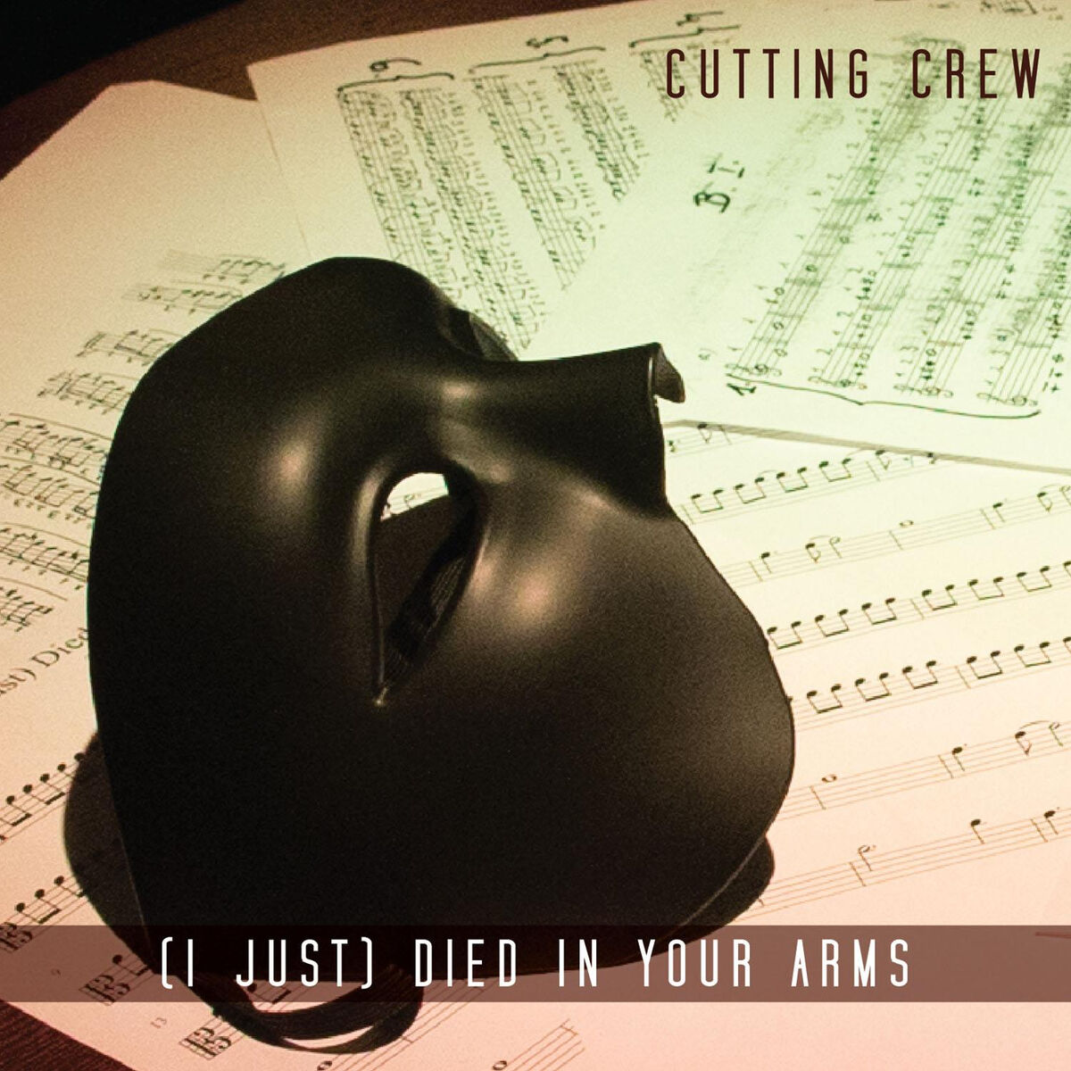 Album cover of (I Just) Died In Your Arms