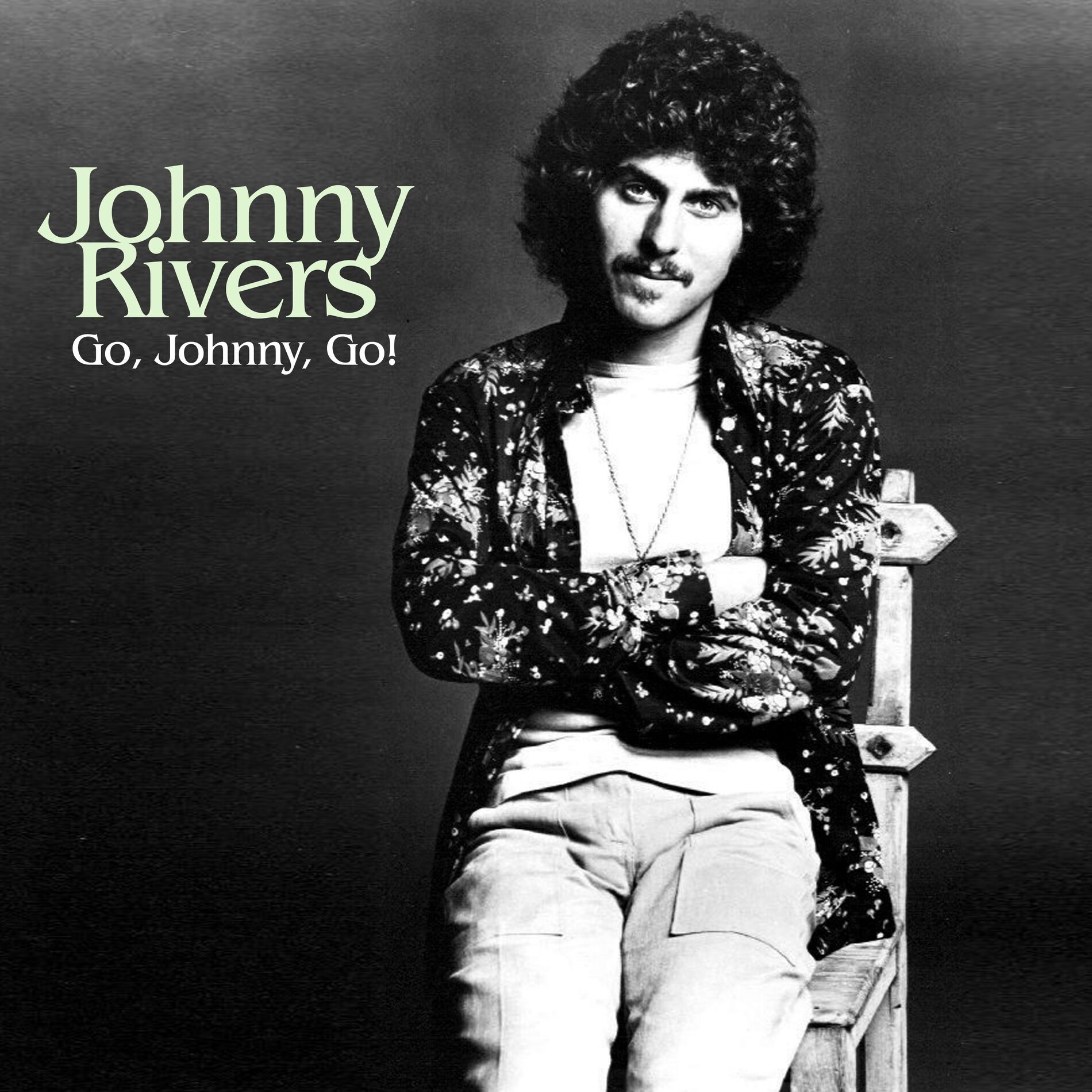 Album cover of Go, Johnny, Go!