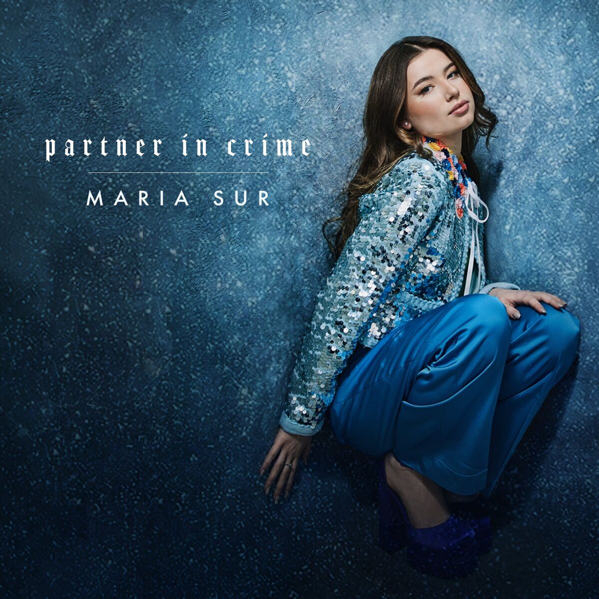 Album cover of Partner In Crime