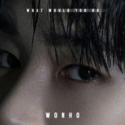 Cover of What Would You Do